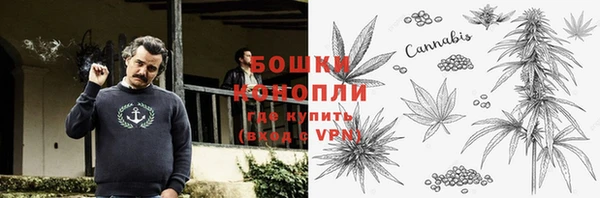 гашик Липки