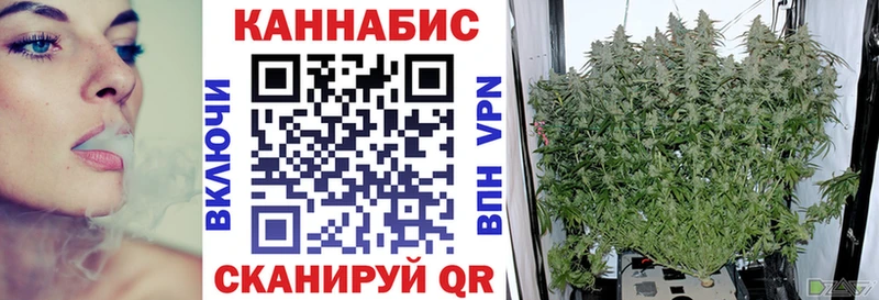 МАРИХУАНА SATIVA & INDICA  Камбарка 